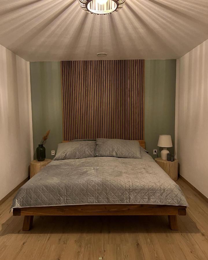 Vila Dvorecna Villa Loučovice Buitenkant foto