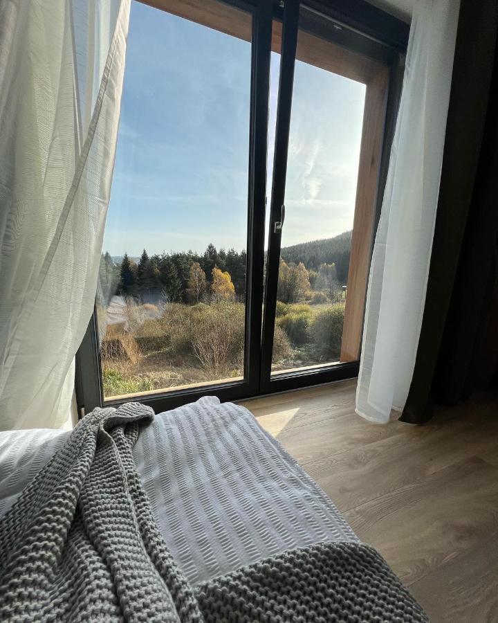 Vila Dvorecna Villa Loučovice Buitenkant foto