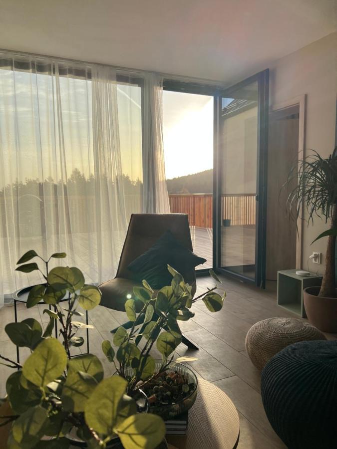 Vila Dvorecna Villa Loučovice Buitenkant foto