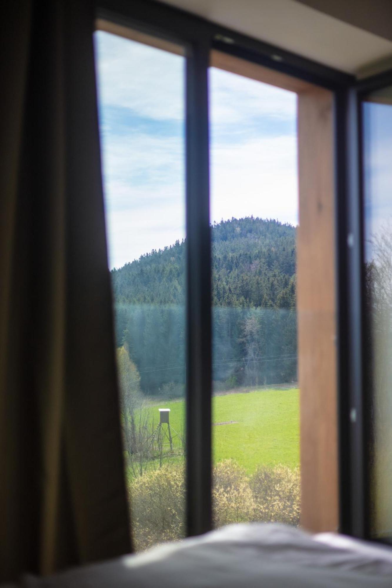 Vila Dvorecna Villa Loučovice Buitenkant foto