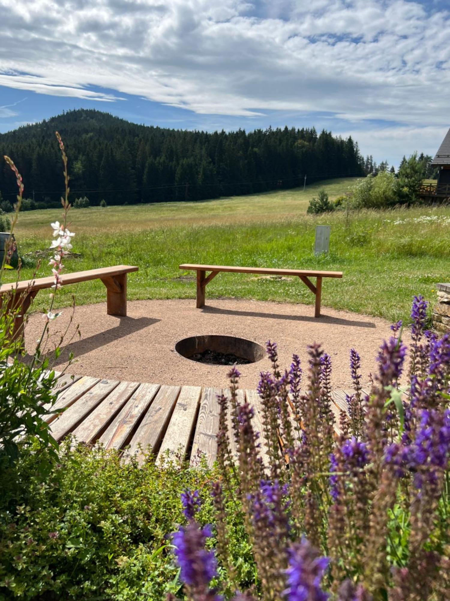 Vila Dvorecna Villa Loučovice Buitenkant foto