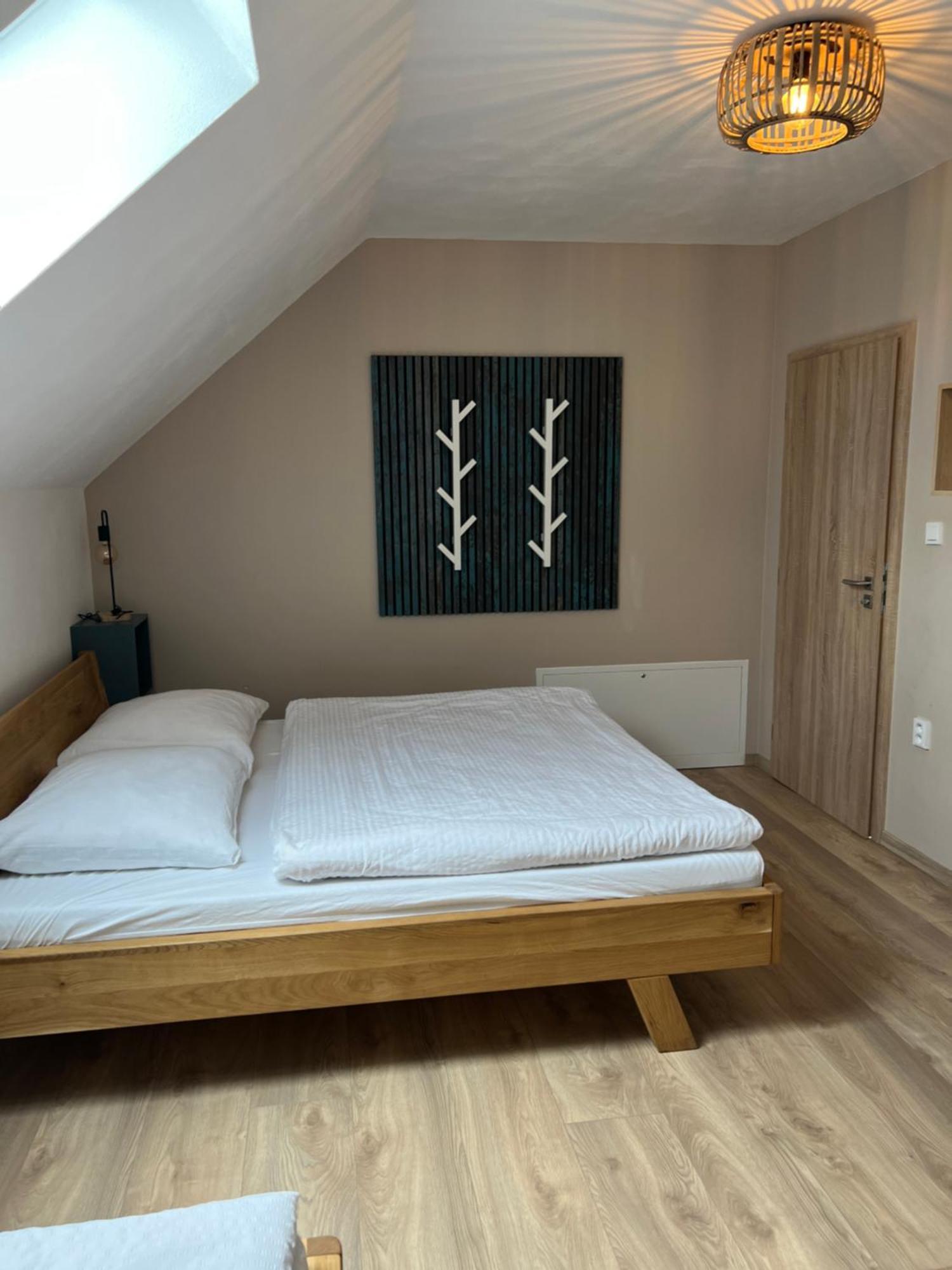 Vila Dvorecna Villa Loučovice Buitenkant foto