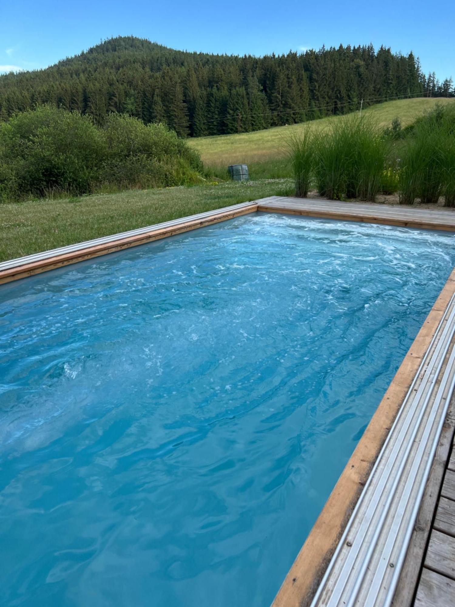 Vila Dvorecna Villa Loučovice Buitenkant foto